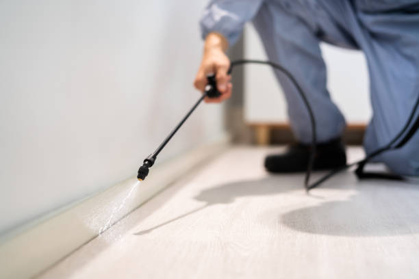 Licensed Pest Control service in Marlboro Village, MD - Show Me Pest Control