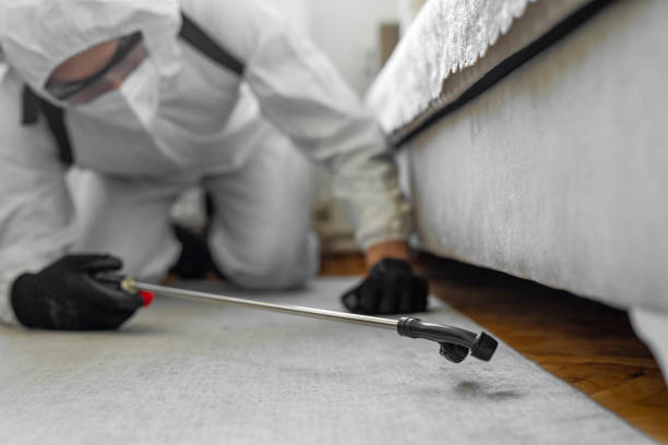 Professional Ant Control technician working in Marlboro Village, MD
